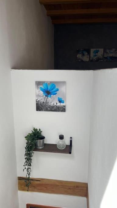 Ca La Trini Vivienda Vacacional Nava Екстер'єр фото